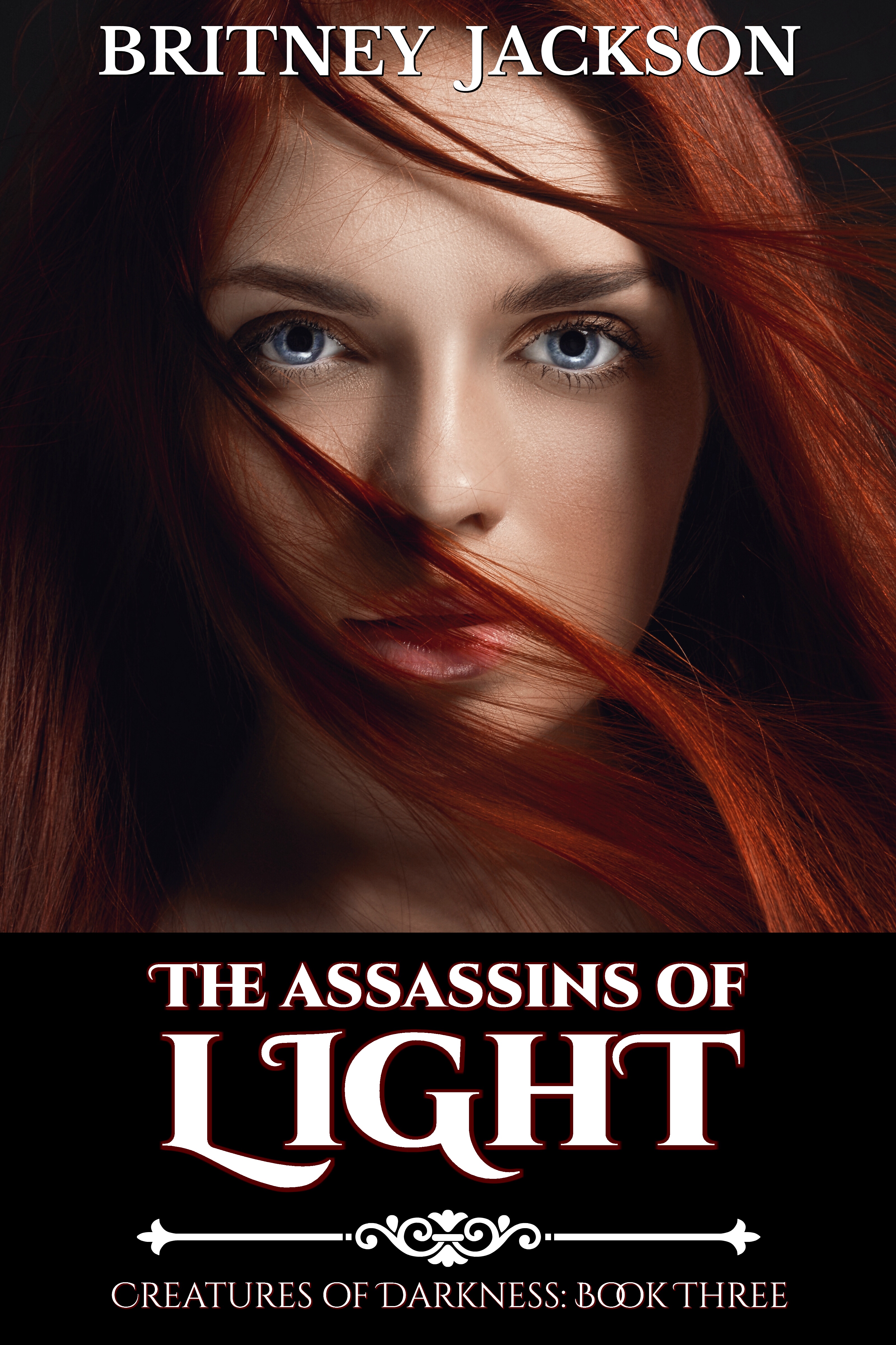the assassins of light cover